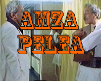 Amza Pellea